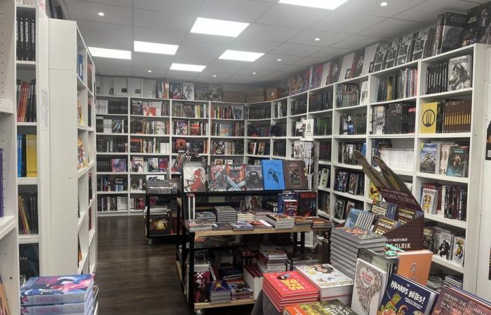 la fulminea ascesa di un libraio specializzato in manga e fumetti