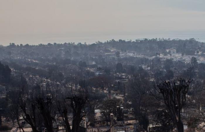 Uno sguardo al disastro dell’incendio di Los Angeles