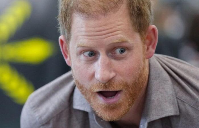 Principe Harry: questa somma astronomica gli è valsa dal suo libro Il Sostituto