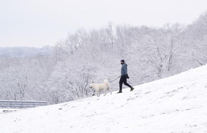 La tempesta invernale mantiene la sua morsa gelida nel sud del Paese