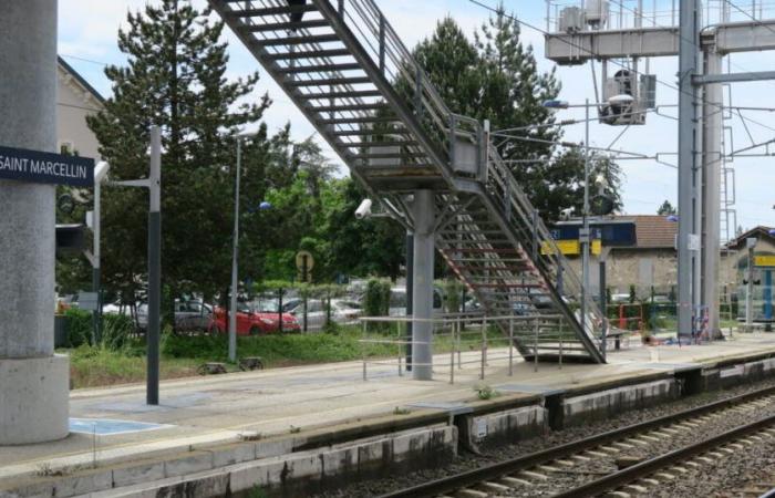 Isère. Una donna di 22 anni partorisce sul treno con l’aiuto di un conducente