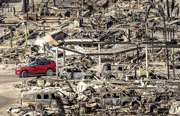 Incendi Los Angeles: sale a 24 il bilancio delle vittime