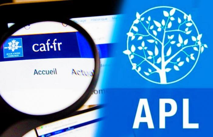 I nuovi massimali di risorse CAF che devi assolutamente conoscere per raggiungere l’APL