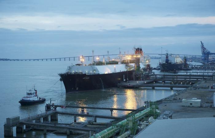 Il traffico nel porto di Nantes Saint-Nazaire è diminuito del 10% nel 2024