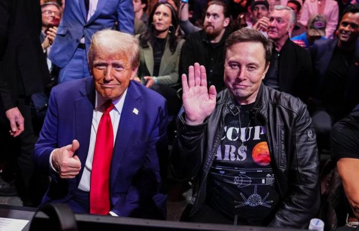 USA: Elon Musk, influencer e capo di Donald Trump