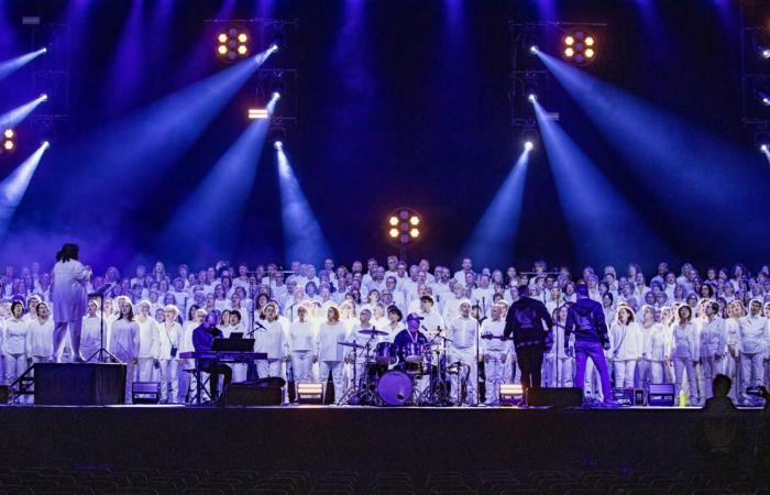 500 cantanti star del concerto delle più belle canzoni francesi