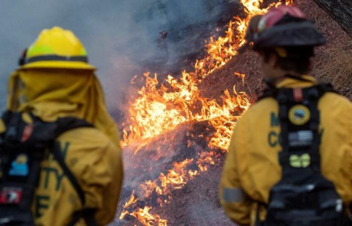 Gli incendi a Los Angeles hanno ucciso 16 persone e continuano a diffondersi