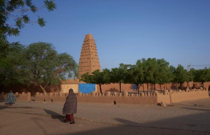 Donna austriaca rapita in Niger, annuncia il Ministero degli Affari Esteri