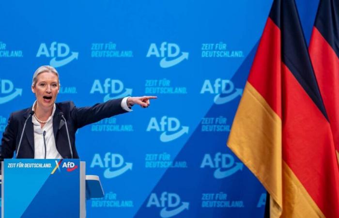 Alice Weidel, candidata alla cancelliera tedesca dall’AfD