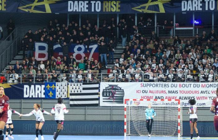 Calcio: i tifosi del Lione, respinti dallo stadio Francis-Le Blé per il Brest-OL, finiscono alla partita di pallamano femminile