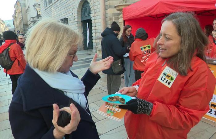 in strada, l’associazione L214 introduce le persone al cibo vegano