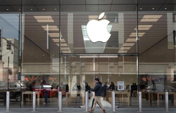 Stati Uniti: Apple vuole mantenere i programmi sulla diversità