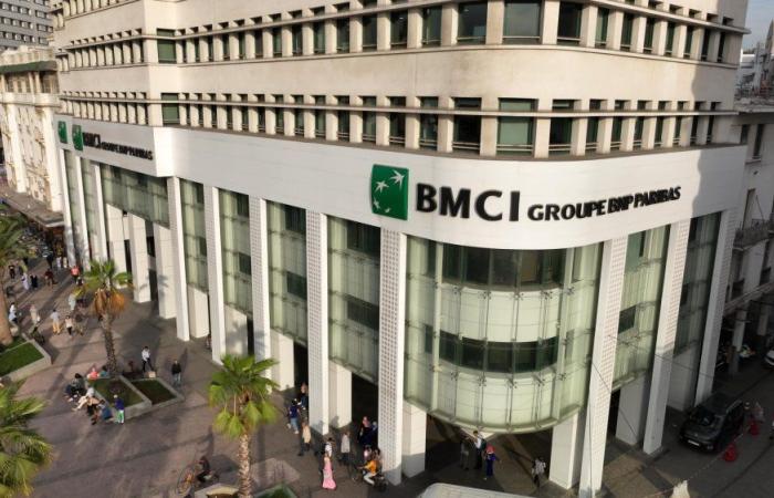 Finanziamenti green: presto 65 milioni di euro dalla BERS per BMCI