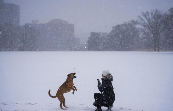 La tempesta invernale mantiene la sua morsa gelida nel sud del Paese