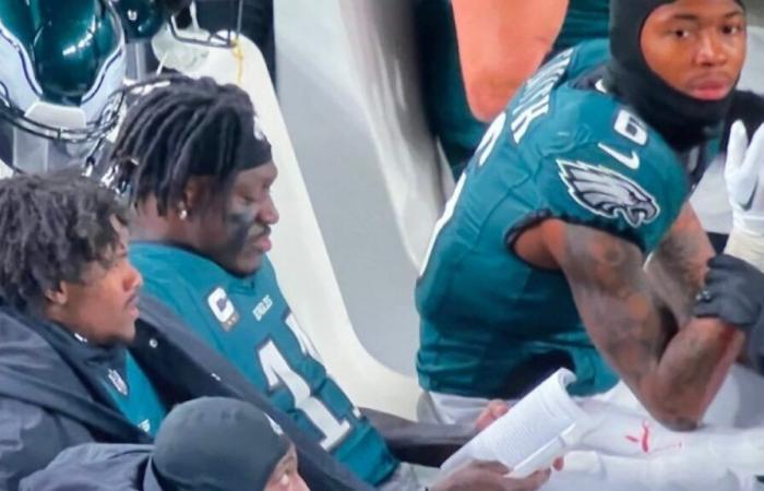 NFL: AJ Brown è stato avvistato durante la partita contro i Packers mentre leggeva un libro