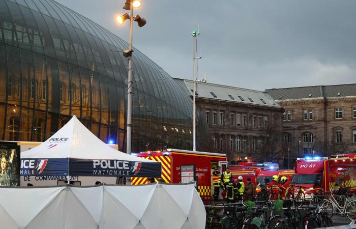 “Un violento impatto frontale in seguito a una retromarcia”: prime informazioni sullo scontro tra due tram a Strasburgo (VIDEO+FOTO)