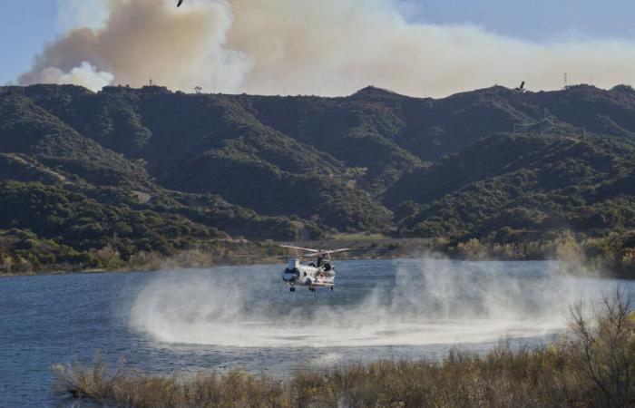 Aggiornamento sulla risposta alla tempesta di vento del LADWP – domenica 12 gennaio 2025: 7:00