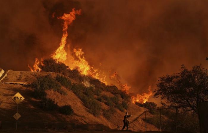 Incendi nell’area di Los Angeles | Trump denuncia “l’incompetenza” dei leader