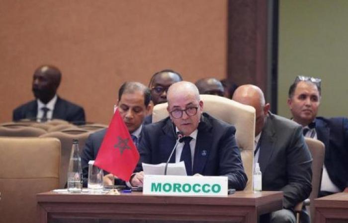 La partecipazione del Marocco al vertice straordinario dell’Unione africana sul programma di sviluppo agricolo in Africa – AgriMaroc.ma