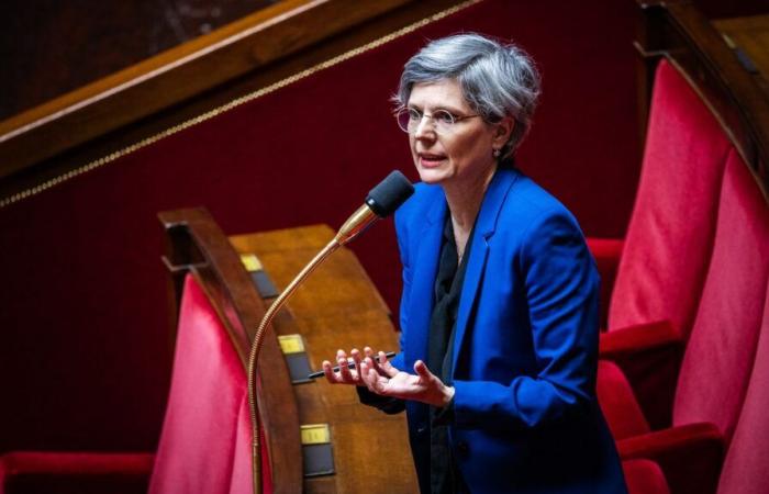 L’ambientalista Sandrine Rousseau invita tutti i deputati del PFN a lasciare la rete sociale