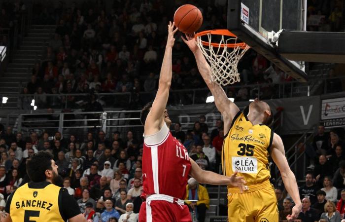 BASKET (Betclic Elite): Elan Chalon supera La Rochelle, tra contrasti e paradossi