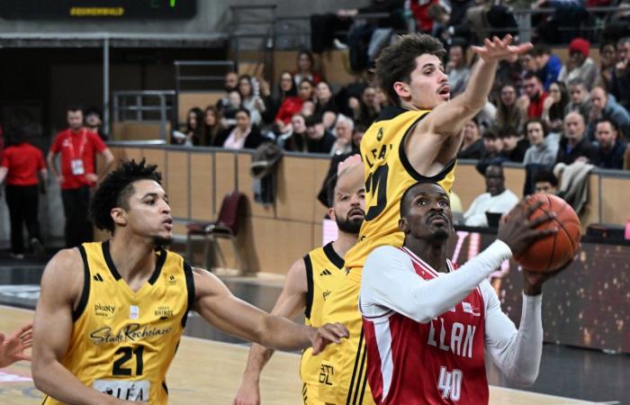 BASKET (Betclic Elite): Elan Chalon supera La Rochelle, tra contrasti e paradossi