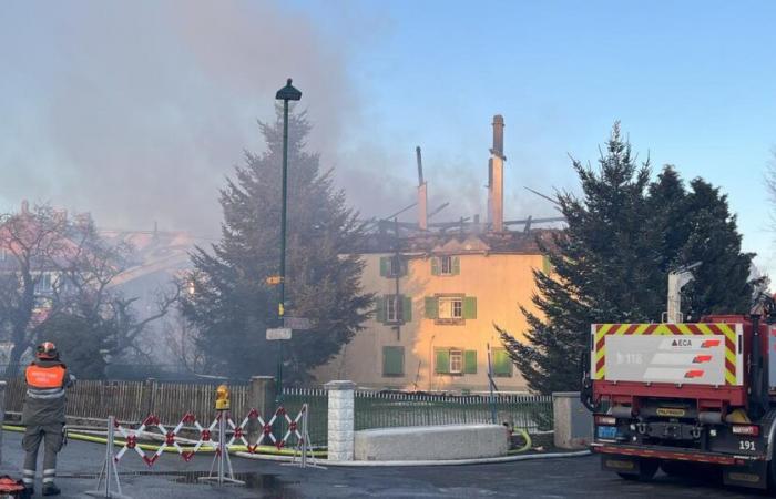 Una trentina di capi di bestiame uccisi nell’incendio in una fattoria a Peney-le-Jorat – rts.ch