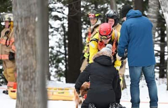 Soccorso insolito: un uomo e un cane salvati dai vigili del fuoco