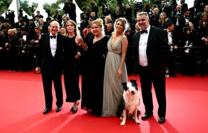 Cinema francese in declino all’estero nel 2024 – 13/01/2025 19:48