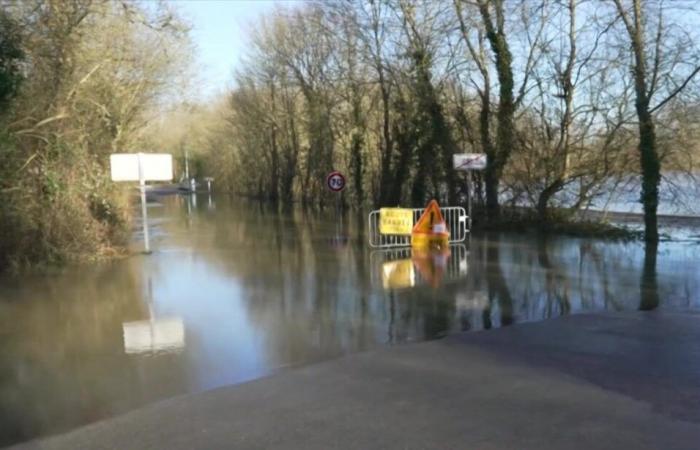 Freddo e ghiaccio: strade pericolose – Quotidiano delle 13.00