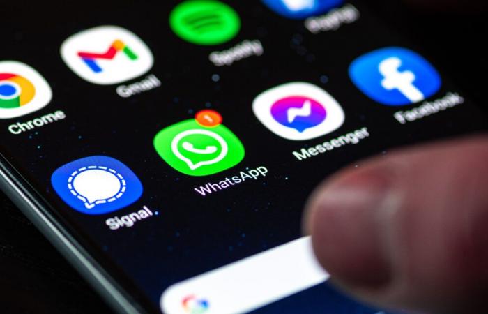 Dì addio a questa comoda scheda di WhatsApp, presto sarà dedicata ai bot AI