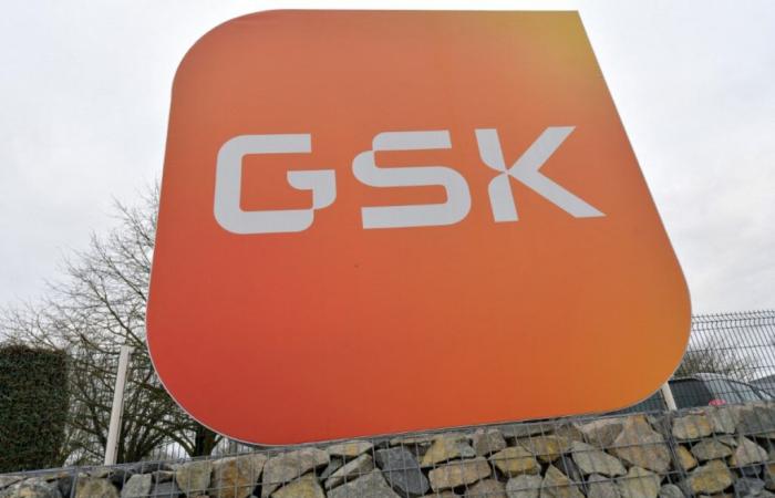 GSK acquista l’IDRx americano per un massimo di 1,15 miliardi di dollari – 13/01/2025 alle 11:19