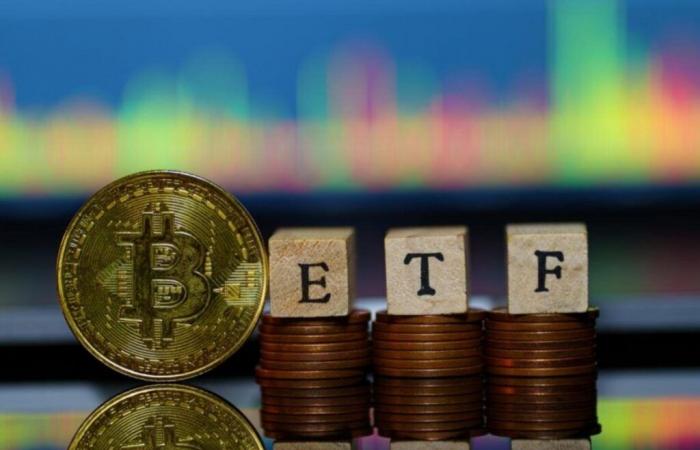 Cerchi un’esposizione Bitcoin con protezione dai ribassi? Ora esiste un ETF per questo (CORRETTO)