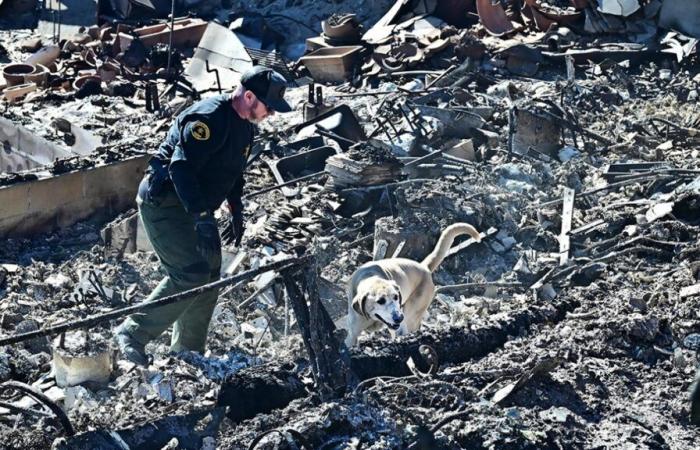 il bilancio umano aumenta, otto nuove persone sono morte