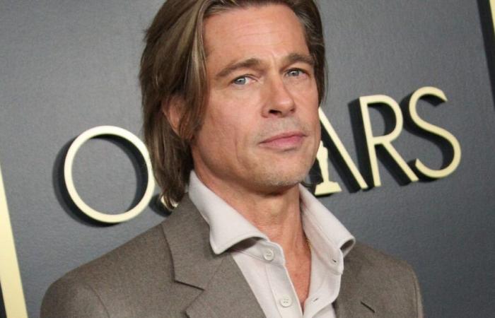 È stata derubata di 1,2 milioni di dollari da un falso Brad Pitt con il quale pensava di avere una relazione