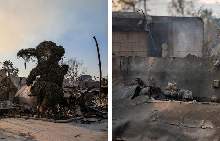 Segnalare nuovamente gli incendi attraverso il dolore, la comunità e lo scetticismo