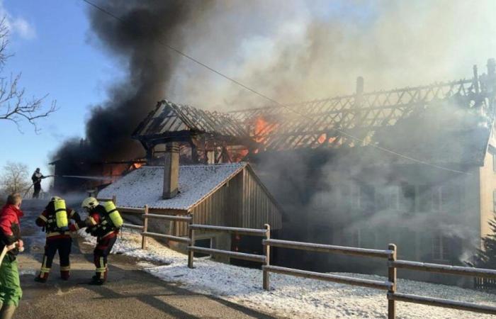 Incendio di una fattoria a Peney-le-Jorat (VD): uccisi 30 bovini