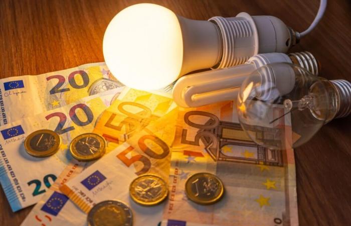 Queste offerte elettriche abbasseranno i loro prezzi del 14% a partire dal 1° febbraio 2025!