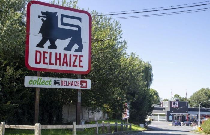 Delhaize annuncia l’acquisizione di 325 negozi Louis Delhaize