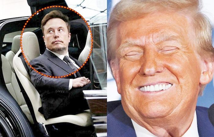 La situazione attuale è che Elon Musk è stato pugnalato alle spalle da Trump, di cui si fidava.