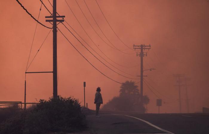 Guarda come gli incendi di Los Angeles hanno distrutto i quartieri