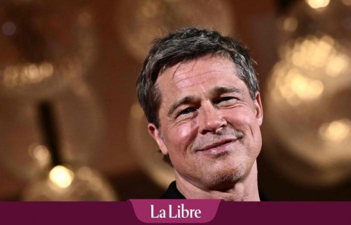 Anne, che crede di avere una relazione con Brad Pitt, divorzia e viene truffata: «La cifra più grande rubata in questo tipo di affari»