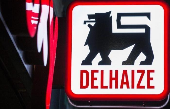 Delhaize annuncia l’acquisizione di Louis Delhaize