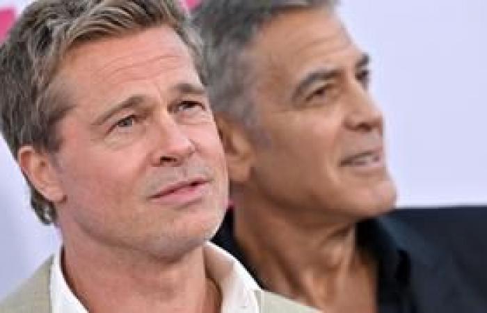 Una donna, convinta di avere una relazione con Brad Pitt, si vede sottrarre 830.000 euro