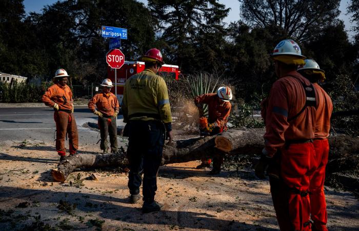 Segnalare nuovamente gli incendi attraverso il dolore, la comunità e lo scetticismo