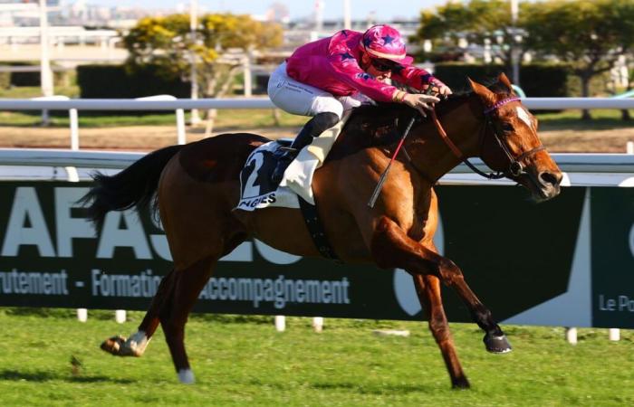 13/01 a Cagnes-sur-Mer – Premio Albert Taton: Arrow Eagle in vigore