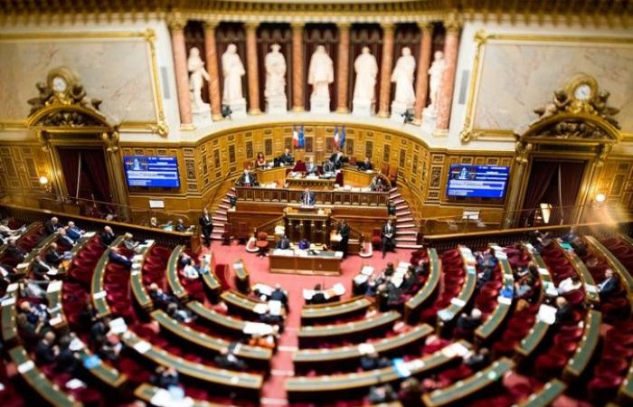 Il senatore Paulu-Santu Parigi parla di “singhiozzo” alla fine dei lavori della missione informativa del Senato