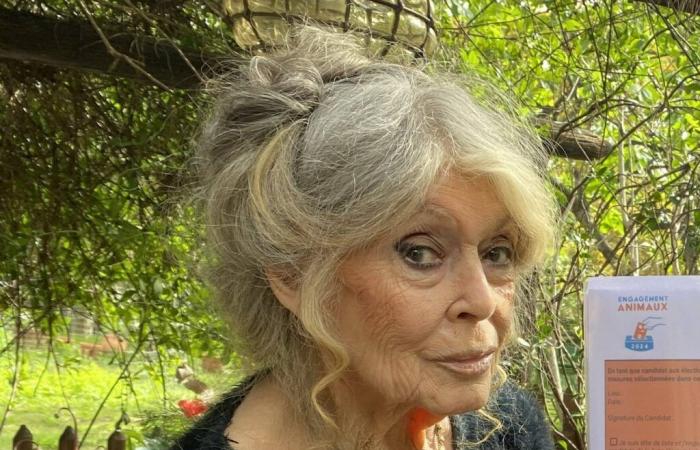 “Migrazione dello Tsunami”, “Sovrappopolazione”… Gli auguri apocalittici di Brigitte Bardot per il 2025