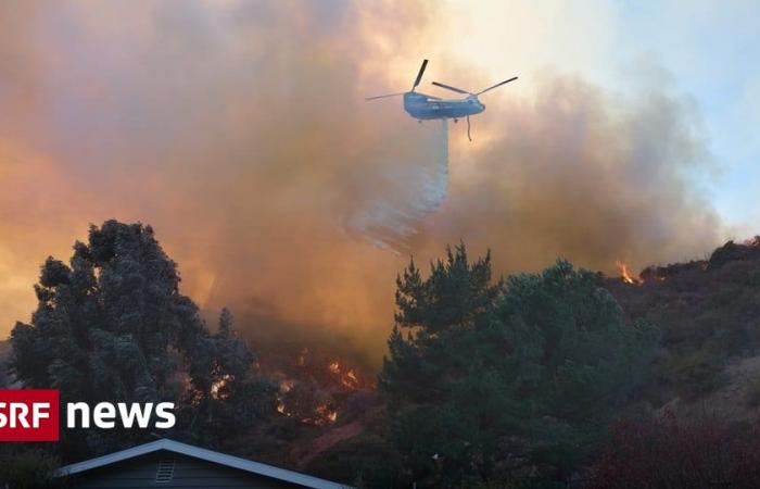 Incendi boschivi sulla costa occidentale degli Stati Uniti – 24 morti negli incendi a Los Angeles – preoccupazione per nuovi venti – Notizie