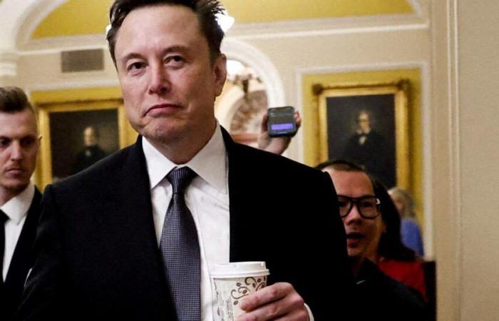 Elon Musk in trattative per acquistare TikTok, secondo Bloomberg